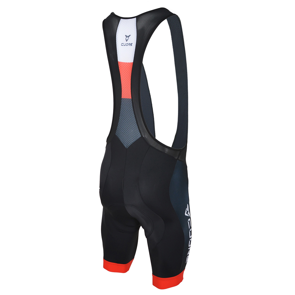 https://www.cuore.ch/global/images/product_images/popup_images/cuore_silver_men_cycling_bib_short_rear.jpg